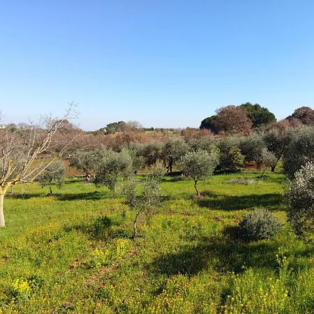 Maria Con Piscina - La Casita & El Mirador Ostuni